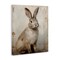 Stupell Industries Neutral Rabbit Portrait Canvas By Arlington Prints